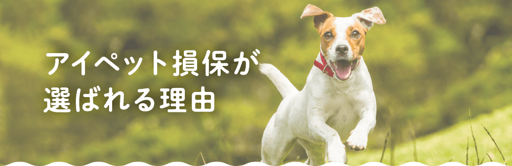 アイペット損保が選ばれる理由