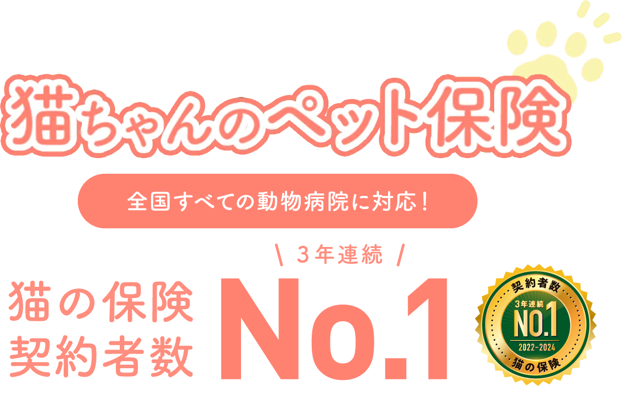 猫ちゃんのペット保険　全国すべての動物病院に対応！　数々のNO.1獲得