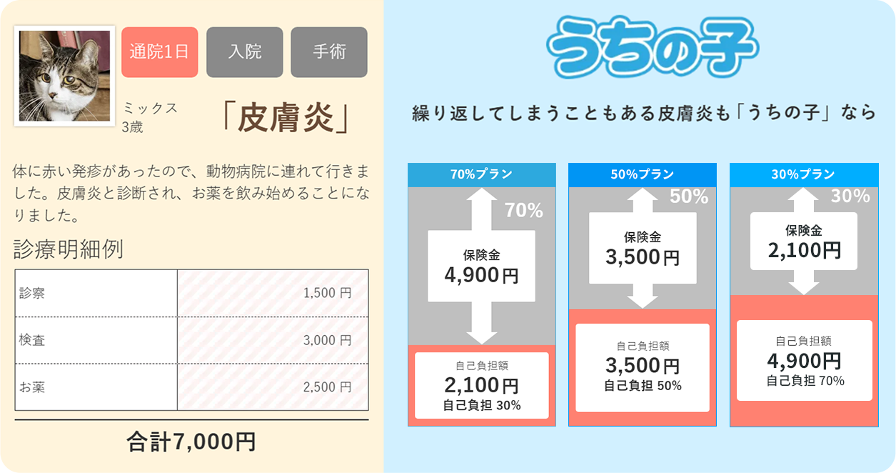 ミックス3歳 「皮膚炎」体に赤い発疹があったので、動物病院に連れて行きました。皮膚炎と診断され、お薬を飲み始めることになりました。合計7,000円