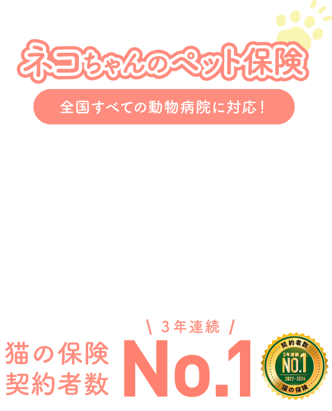 猫ちゃんのペット保険　全国すべての動物病院に対応！　数々のNO.1獲得