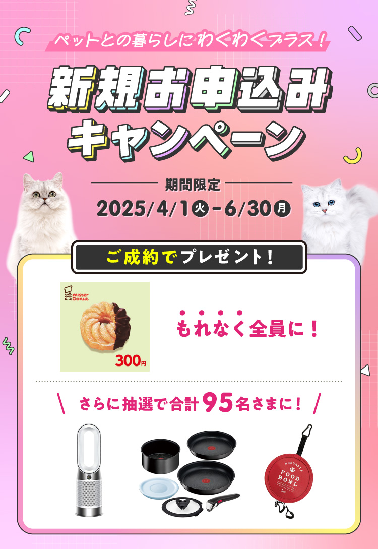 新規お申込みキャンペーン
