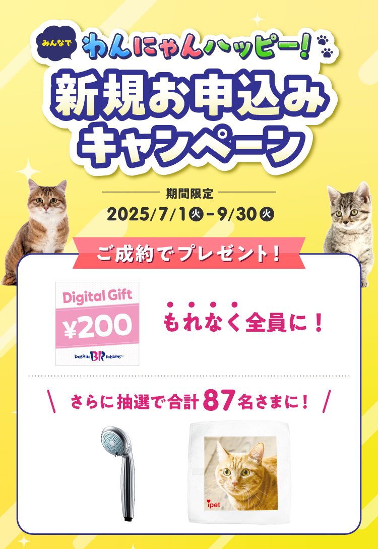 新規お申込みキャンペーン
