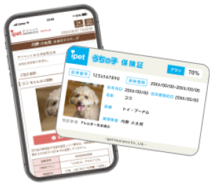 窓口精算でカンタン便利