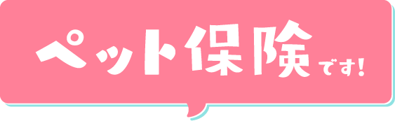 ペット保険です！