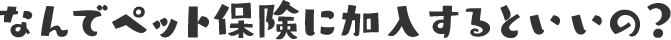 なんでペット保険に加入するといいの？