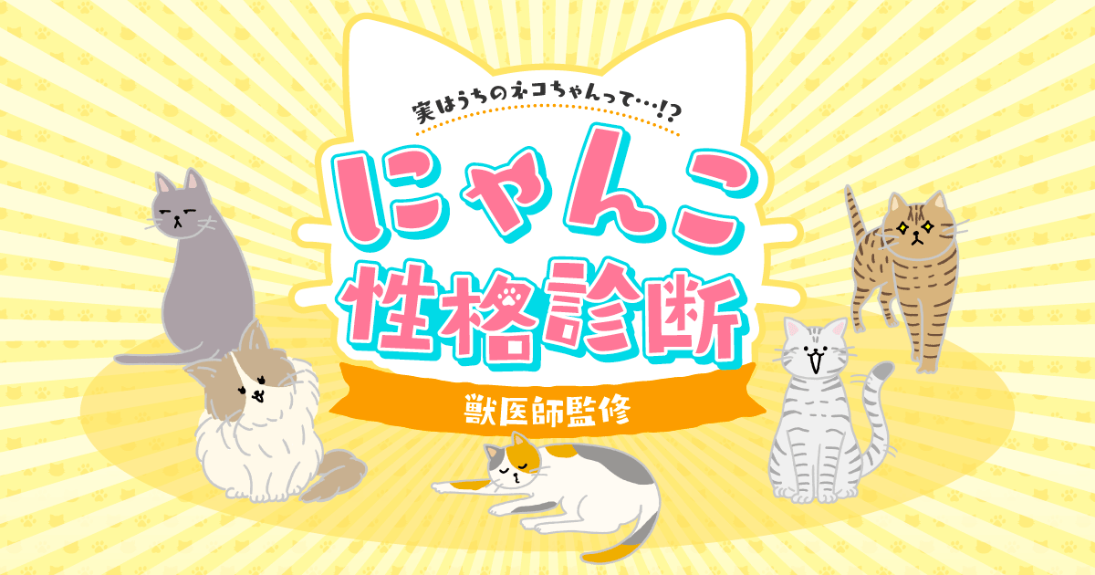 あなたの猫ちゃんはどんな性格？にゃんこ性格診断-獣医師監修-｜ペット