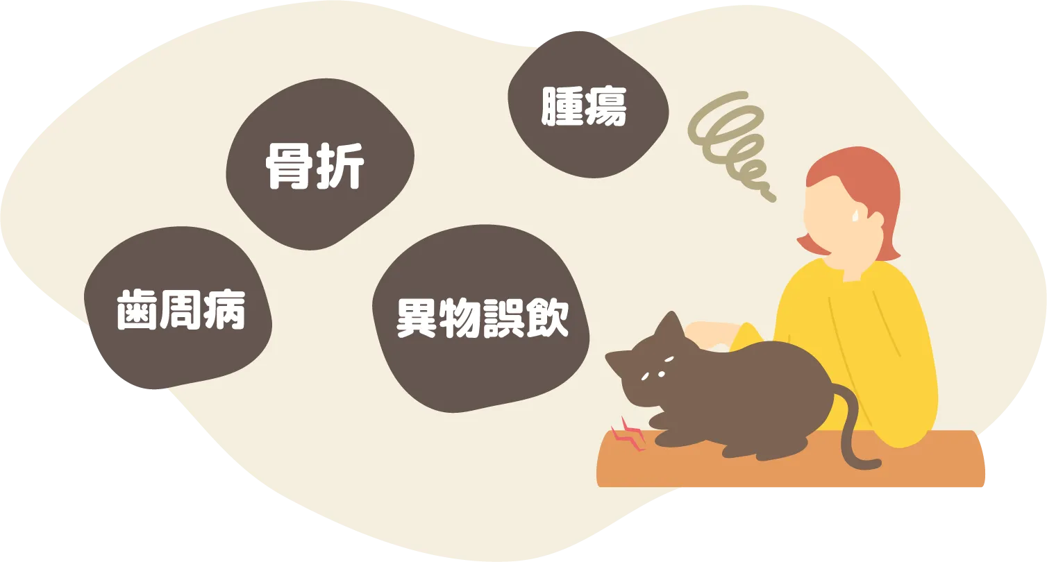 歯周病 骨折 腫瘍 異物誤飲