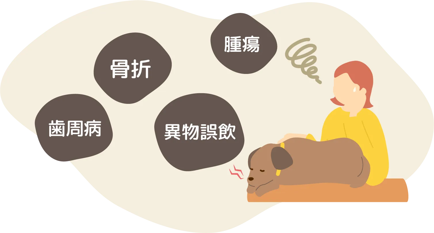歯周病 骨折 腫瘍 異物誤飲