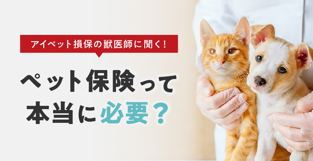 アイペット損保の獣医師に聞く！ペット保険って本当に必要？