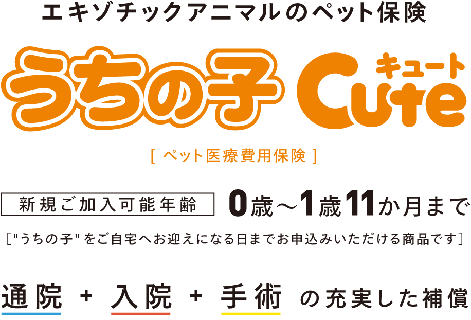 エキゾチックアニマルのペット保険 うちの子キュート 新規ご加入可能年齢0歳〜1歳11か月まで［うちの子をご自宅へお迎えになる日までにお申込みいただける商品です］通院＋入院＋手術の充実した補償