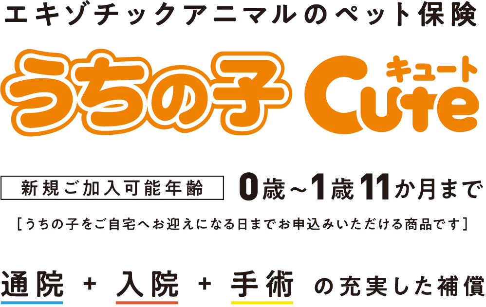 エキゾチックアニマルのペット保険 うちの子キュート 新規ご加入可能年齢0歳〜1歳11か月まで［うちの子をご自宅へお迎えになる日までにお申込みいただける商品です］通院＋入院＋手術の充実した補償