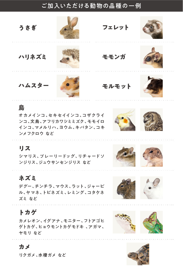 ご加入いただける動物の品種の一例