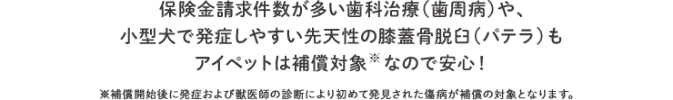 保険金請求件数が多い歯科治療（歯周病）や、小型犬で発症しやすい先天性の膝蓋骨脱臼（パテラ）もアイペットは補償対象なので安心！