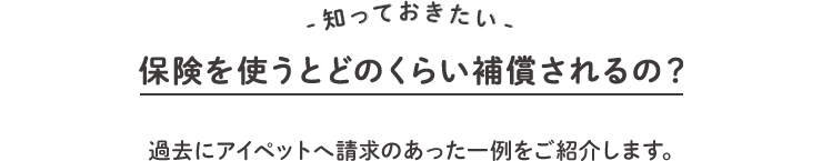知っておきたい、保険を使うとどのくらい補償されるの？