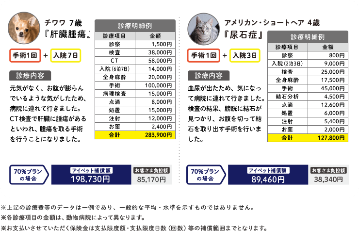 過去アイペットへ請求のあった一例