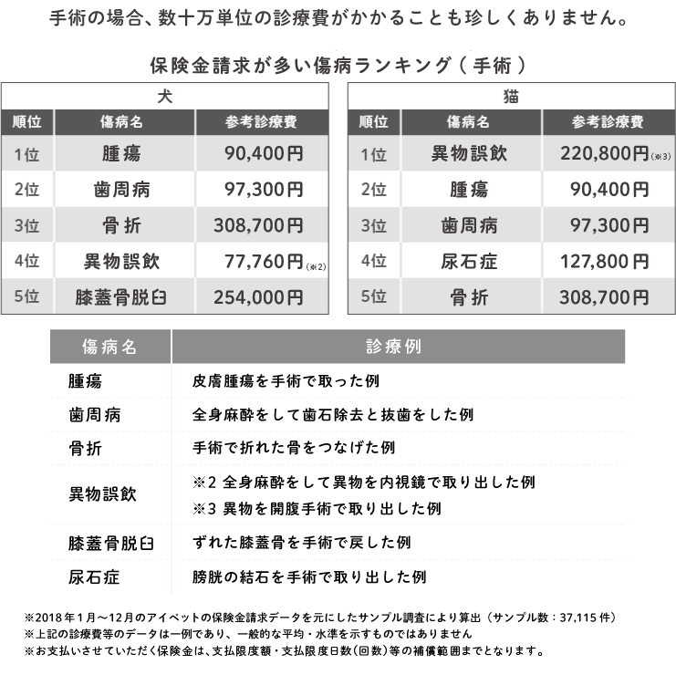 手術の場合、数十万円単位の診療費がかかることも珍しくありません。「うちの子ライト」保険金請求が多い傷病ランキング