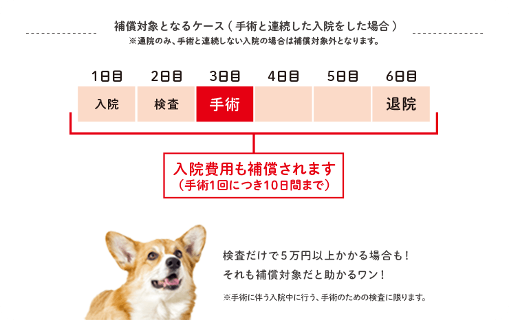 補償対象となるケース