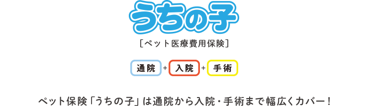ペット保険「うちの子」は通院から入院・手術まで幅広くカバー！
