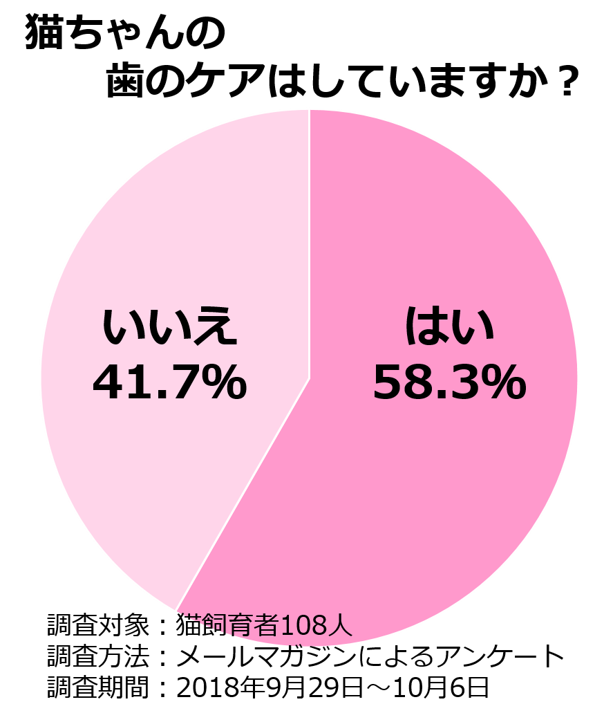 ネコちゃんの歯のケアはしていますか？