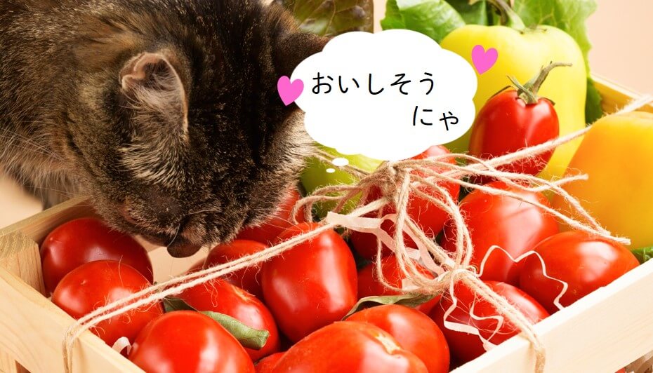 トマトとネコちゃん