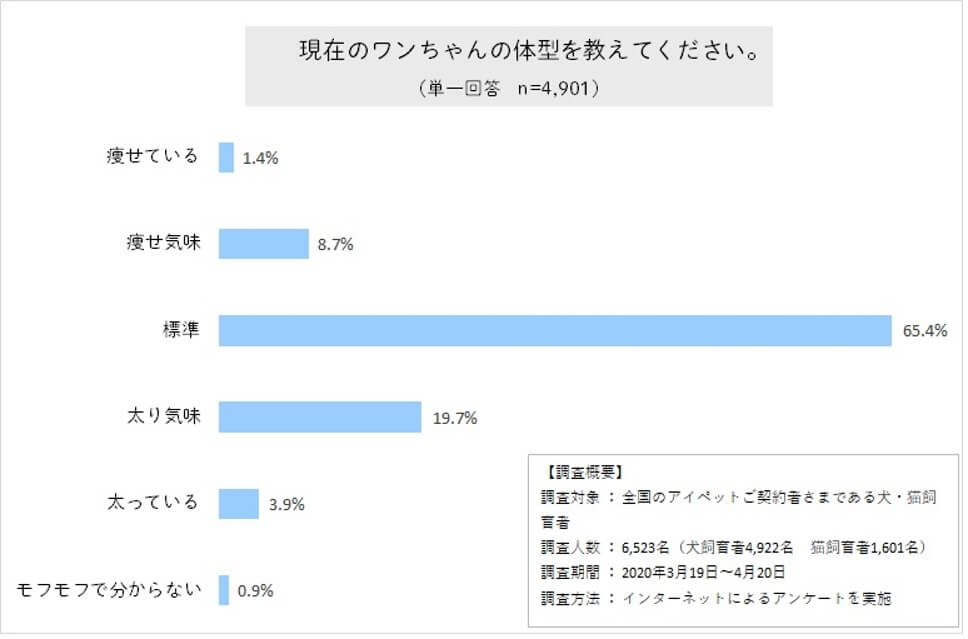 ワンちゃんの体型に関するアンケート結果