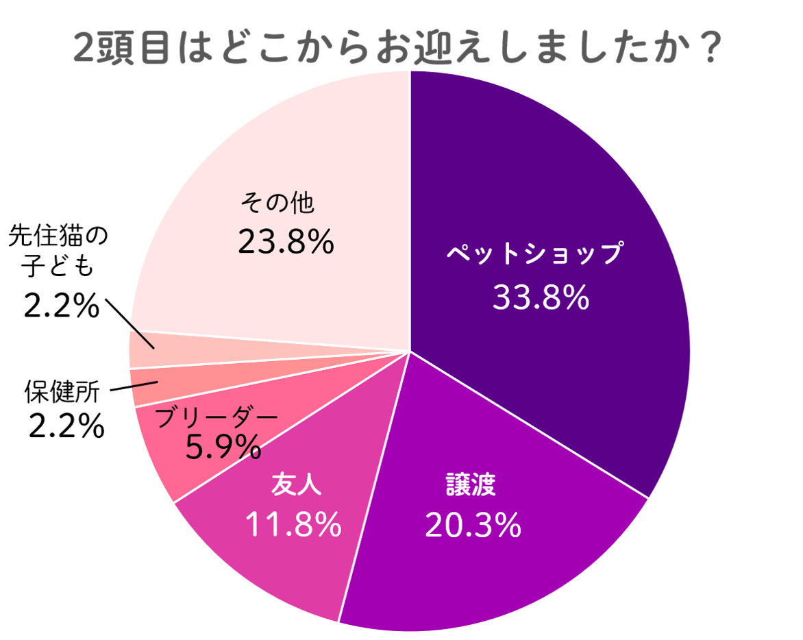 猫：2頭目はどこでお迎えしましたか？