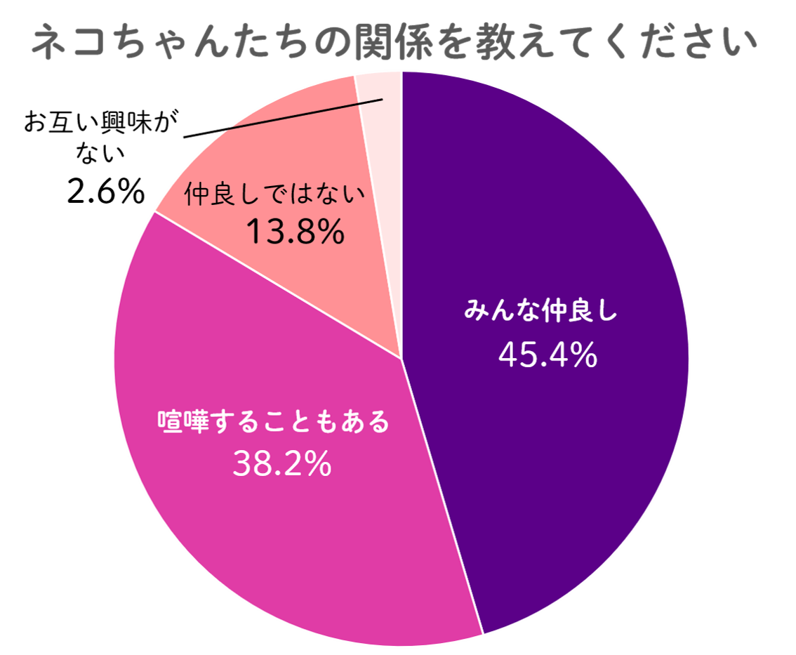 猫：ネコちゃんたちの関係を教えてください