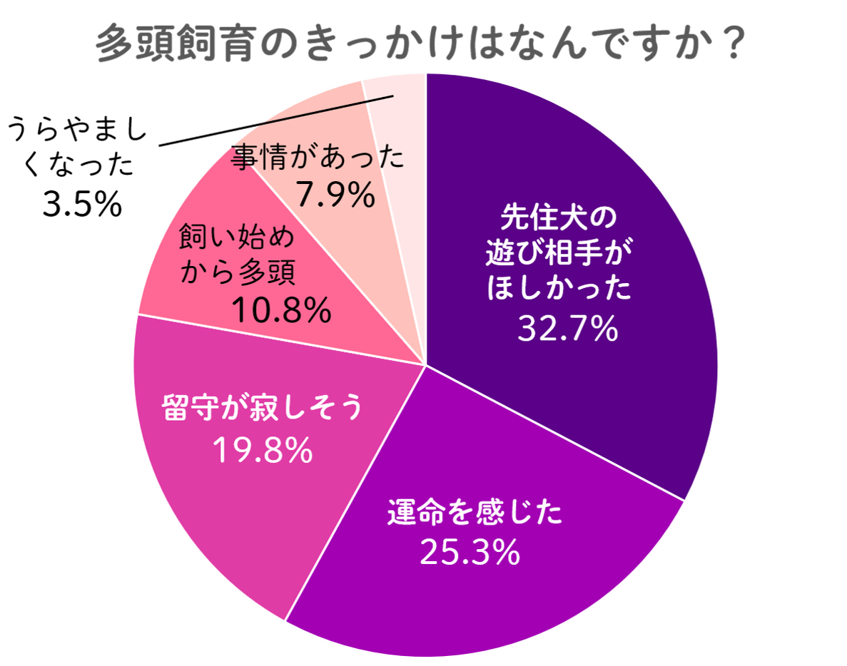 犬：多頭飼育のきっかけはなんですか？