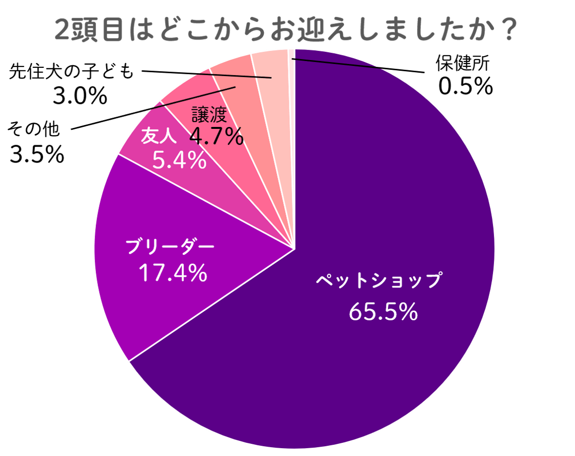 犬：2頭目はどこでお迎えしましたか？