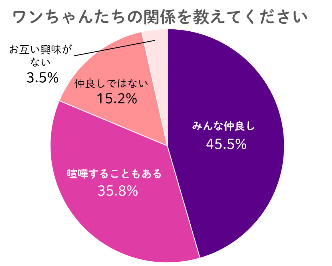 犬：ワンちゃんたちの関係を教えてください