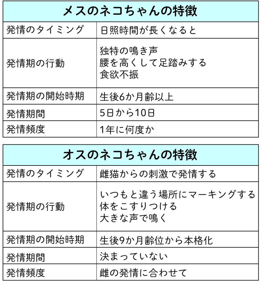 関節のケアとして気を付けていることはありますか？