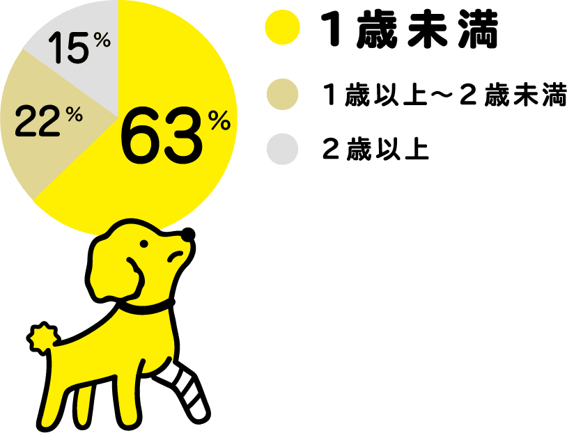 骨折が起こった年齢は1歳未満が63%