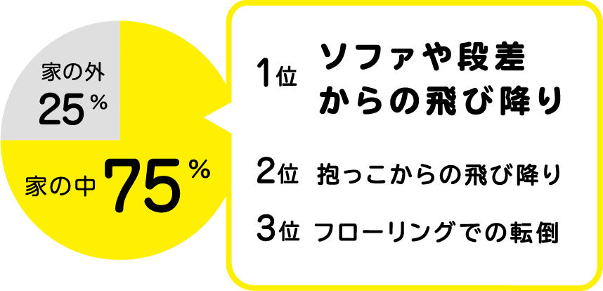 骨折が起きた場所は家の中が75%で、その中でもソファや段差からの飛び降りが1位。2位は抱っこからの飛び降り、3位はフローリングでの転倒。