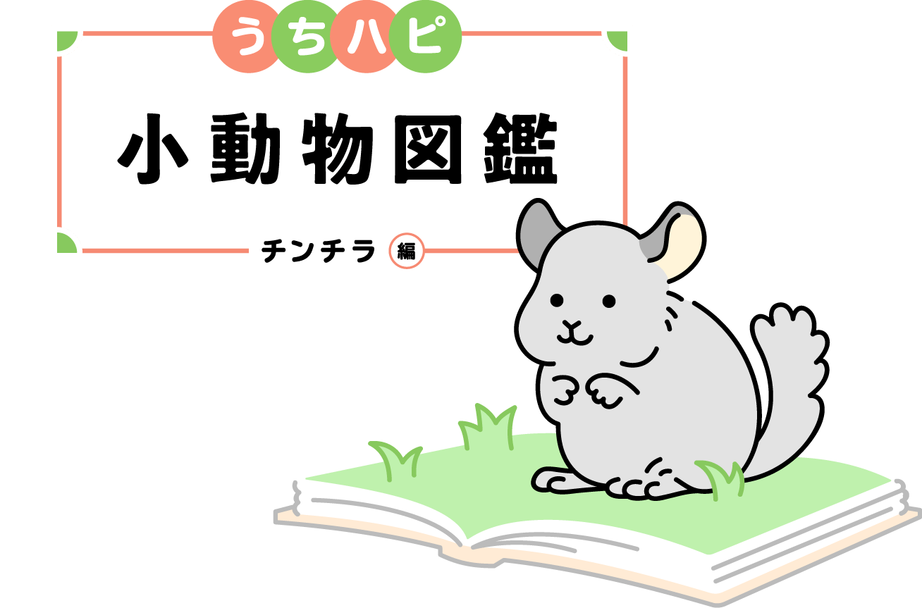 うちハピ小動物（エキゾチックアニマル）図鑑-チンチラ編-