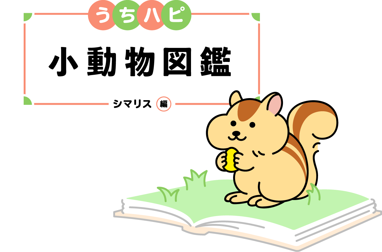 うちハピ小動物（エキゾチックアニマル）図鑑シマリス編