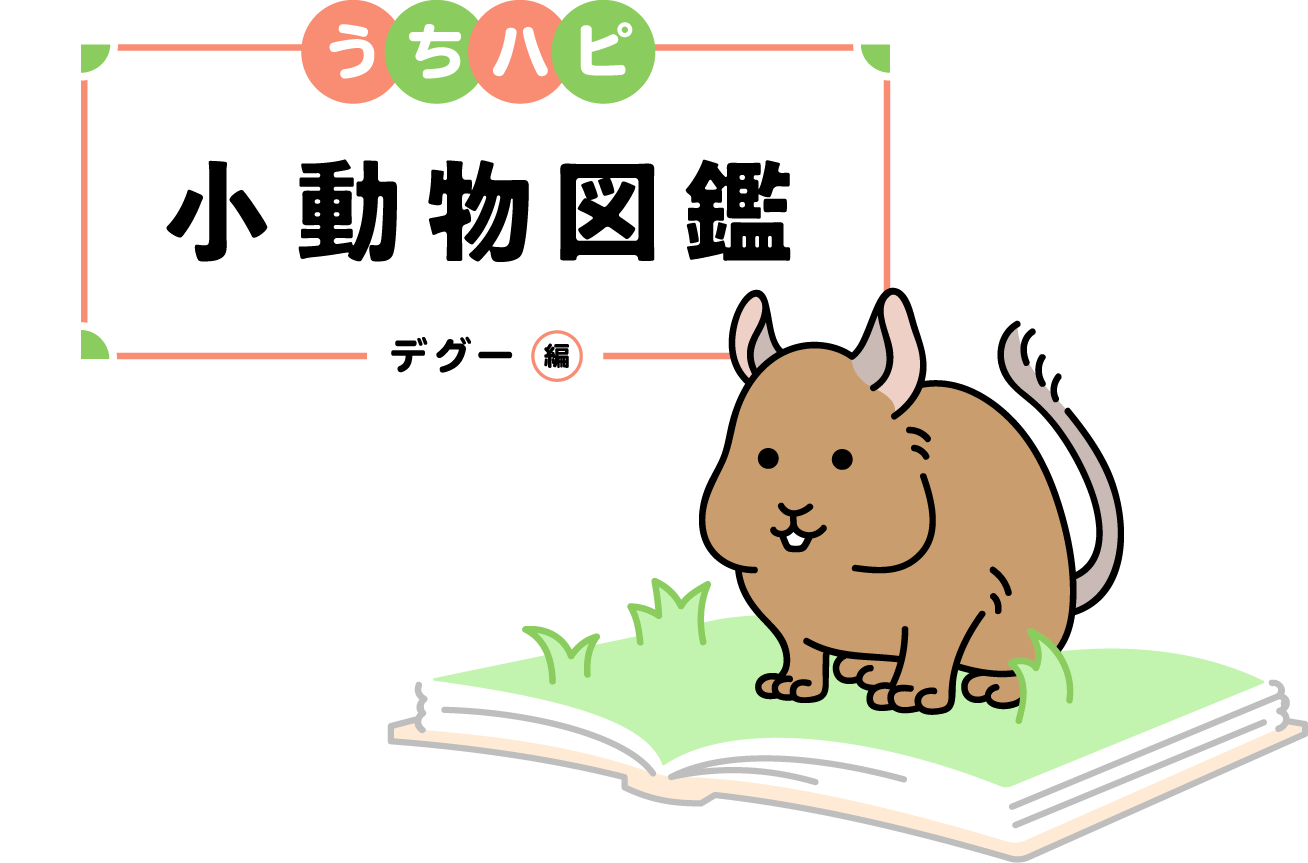 うちハピ小動物（エキゾチックアニマル）図鑑デグー編