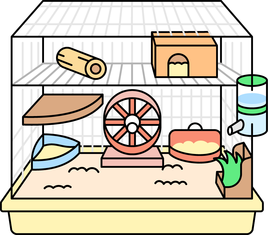 デグーのおうち