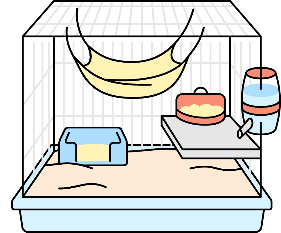 フェレットのおうち