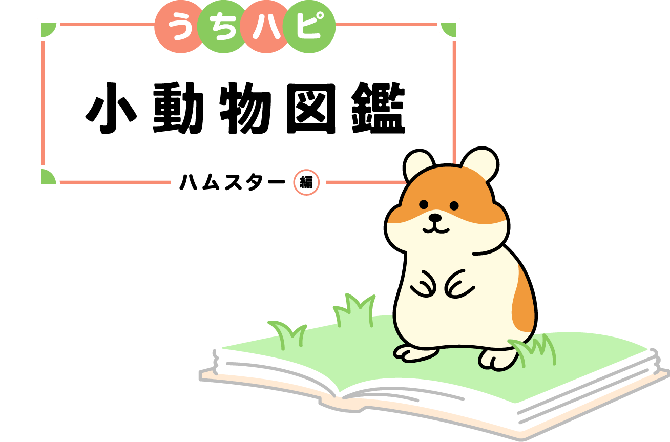 うちハピ小動物（エキゾチックアニマル）図鑑ハムスター編