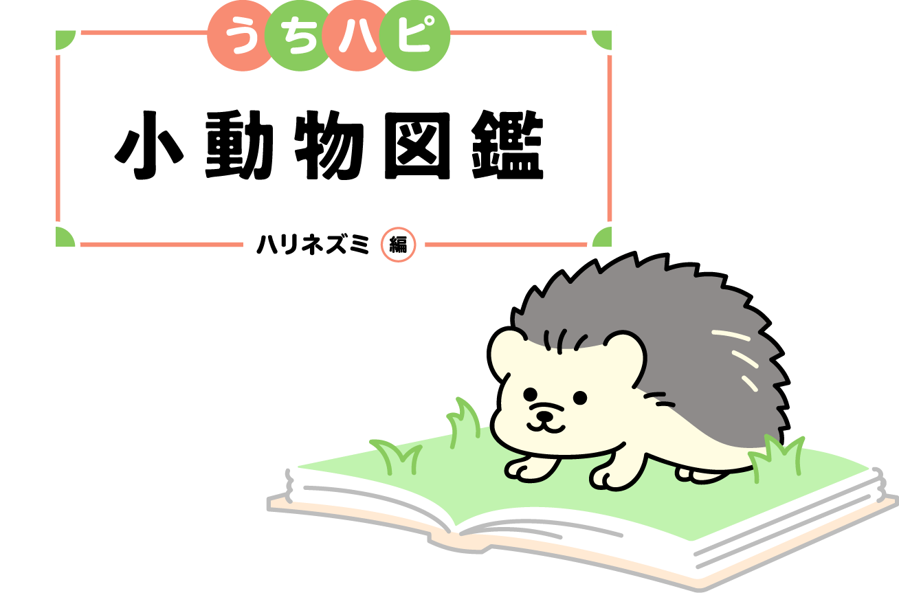 うちハピ小動物（エキゾチックアニマル）図鑑ハリネズミ編