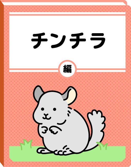 チンチラ編