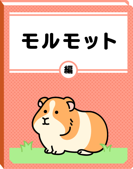 モルモット編