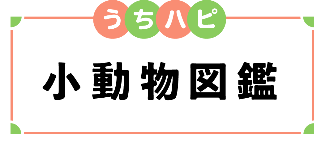 うちハピ小動物図鑑