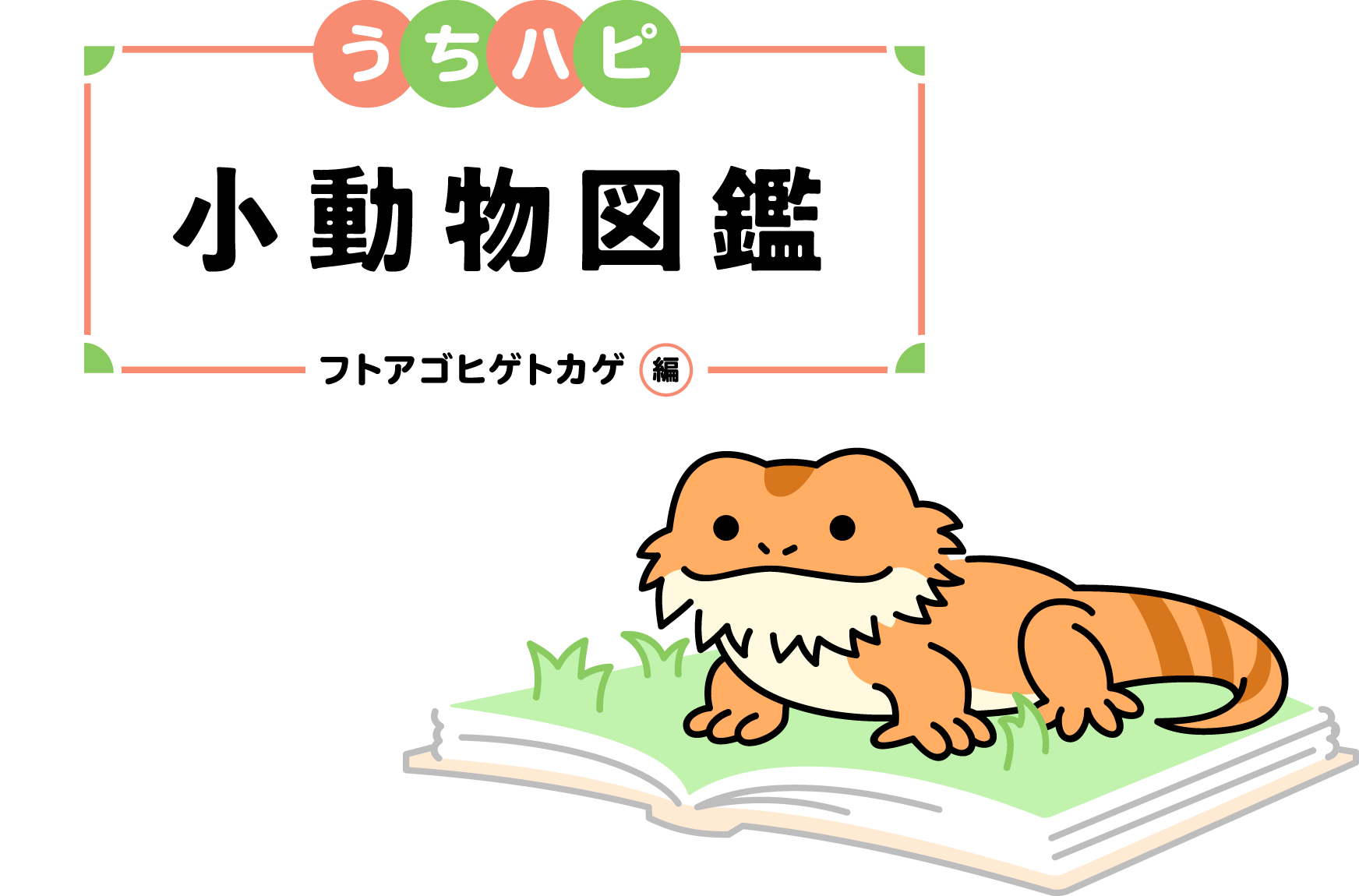 うちハピ小動物（エキゾチックアニマル）図鑑フトアゴヒゲトカゲ編