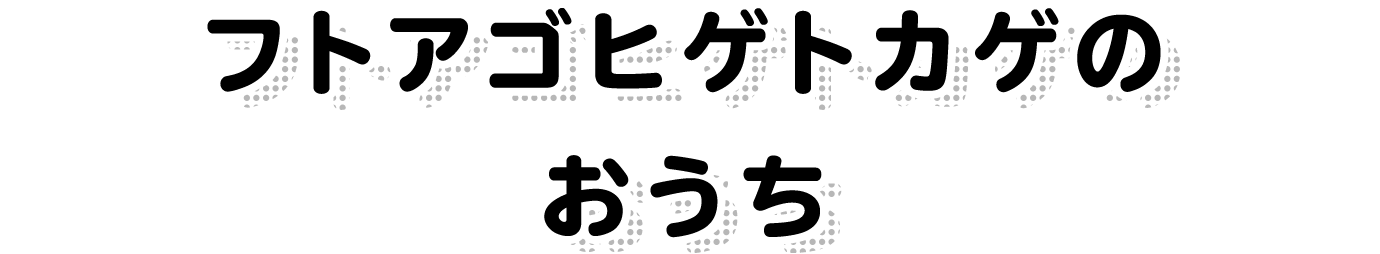 フトアゴヒゲトカゲのおうち