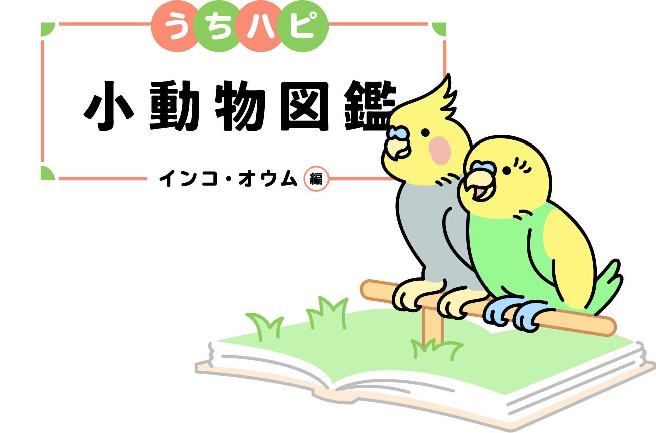 うちハピ小動物（エキゾチックアニマル）図鑑インコ・オウム編