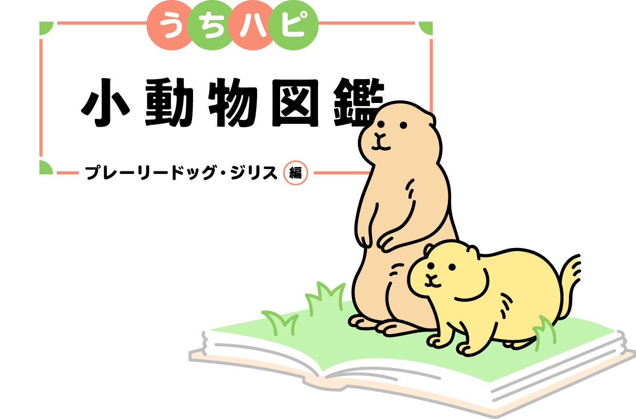 うちハピ小動物（エキゾチックアニマル）図鑑プレーリードッグ・ジリス編