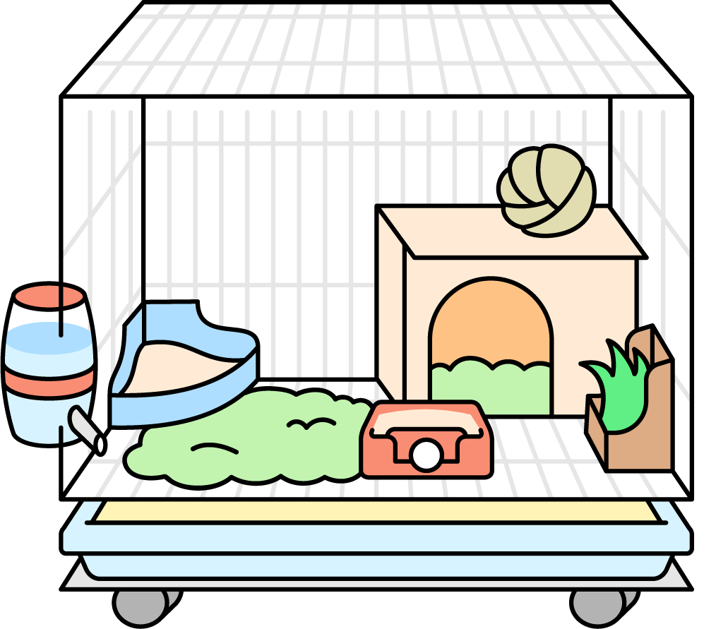 ウサギのおうち