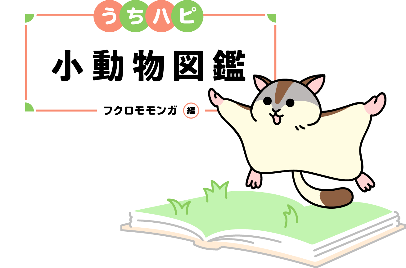 うちハピ小動物（エキゾチックアニマル）図鑑フクロモモンガ編