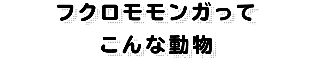 フクロモモンガってこんな動物
